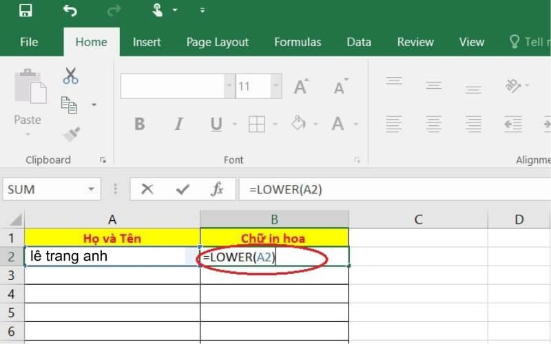 Cách đổi chữ thường thành chữ hoa trong Excel bằng hàm LOWER