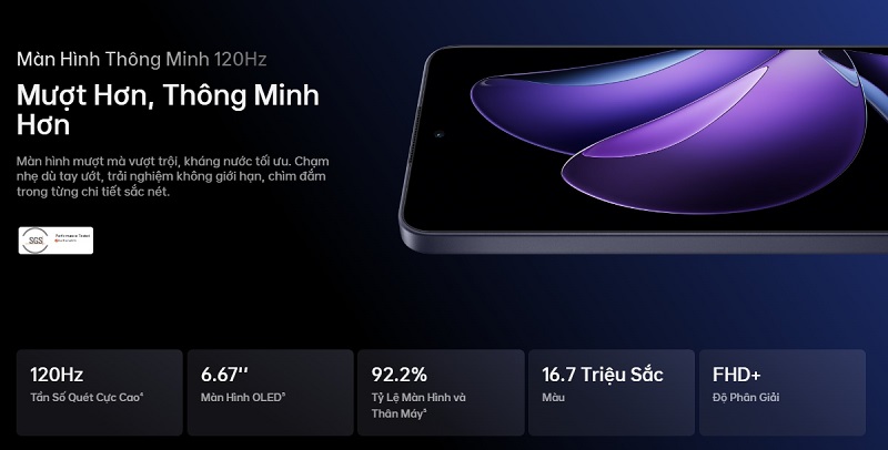 Về màn hình của 2 flagship