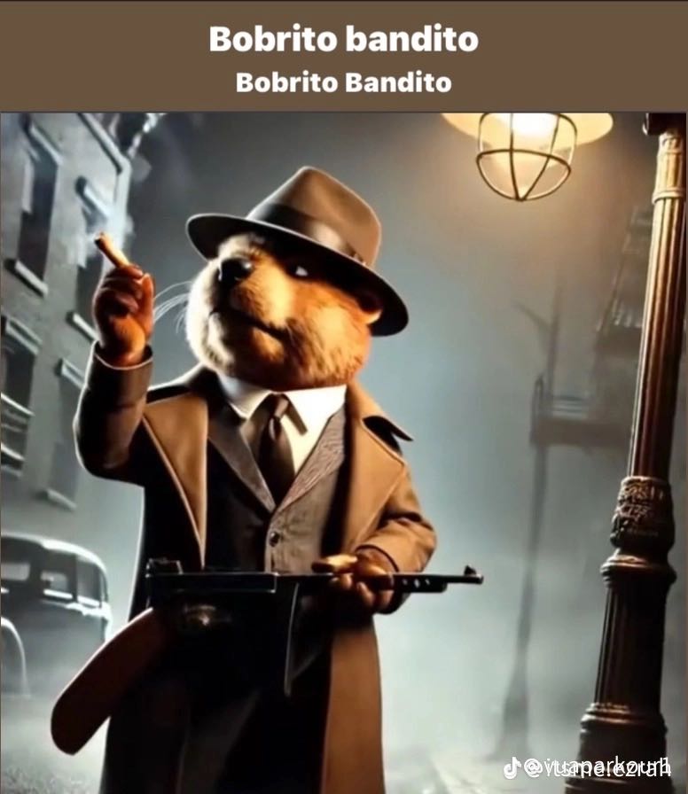 Bobritto Bandito