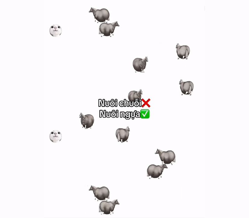 cách lấy sticker con ngựa
