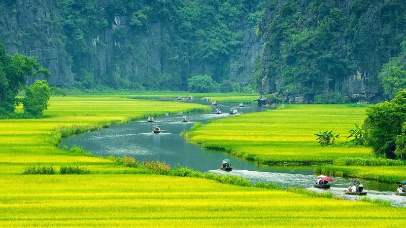 Hình ảnh cánh đồng và dòng sông