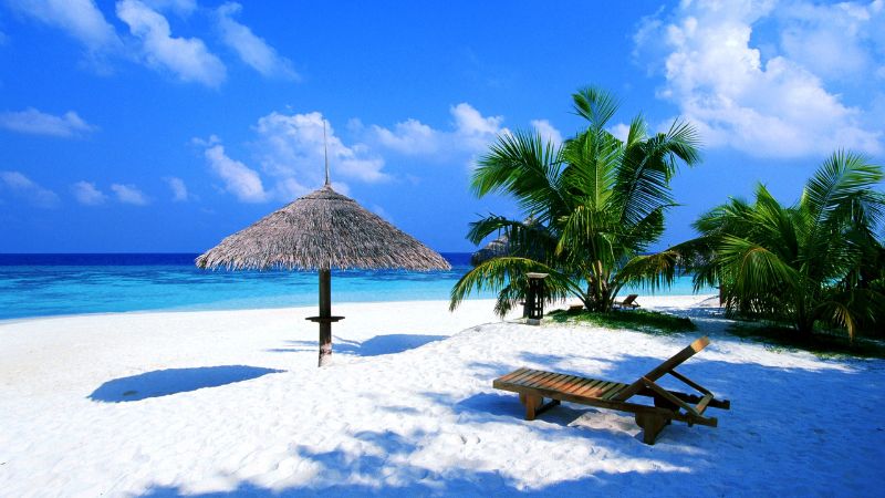 Gợi ý sử dụng hình ảnh mùa hè trong đời sống