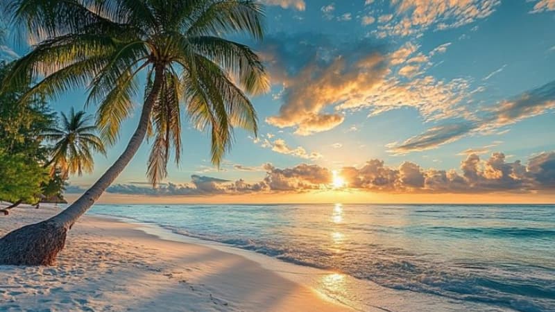 Hình nền biển chill cho máy tính