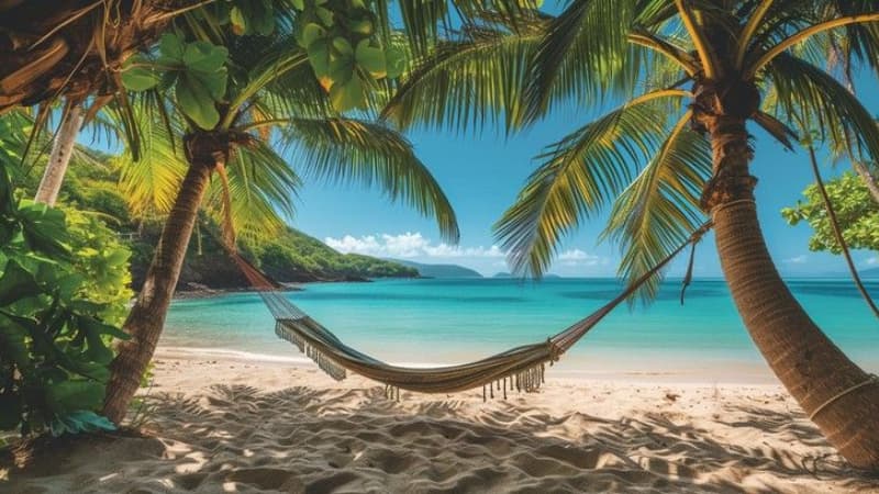 Hình nền biển chill cho máy tính