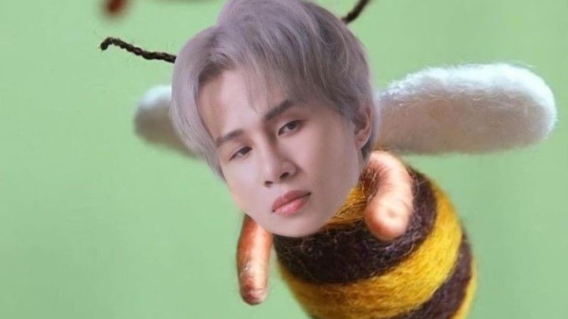 Hình nền Jack 97 meme đom đóm
