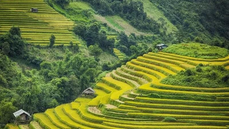hình nền Việt Nam
