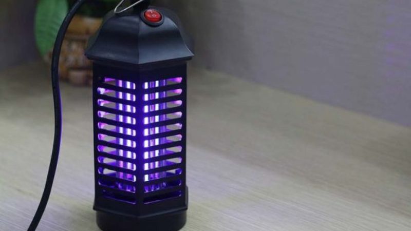 quà tặng mùa hè