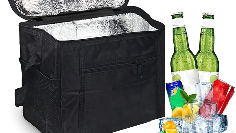 Túi giữ lạnh du lịch