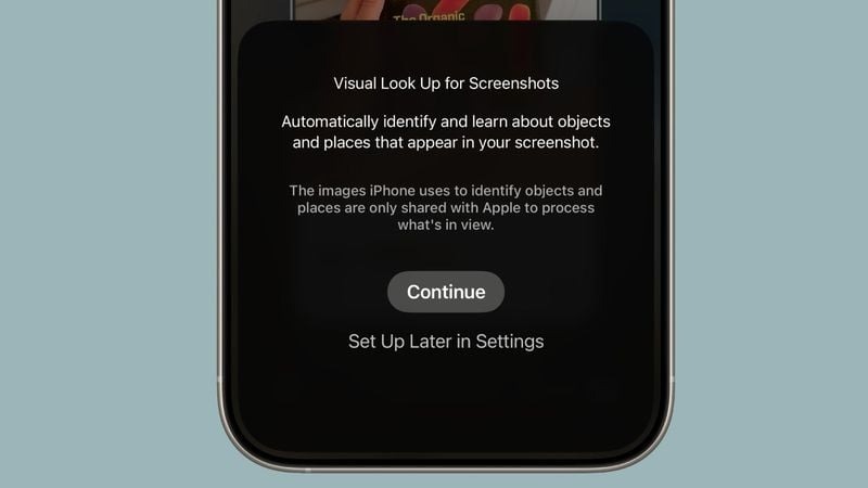 Visual Intelligence iOS 26