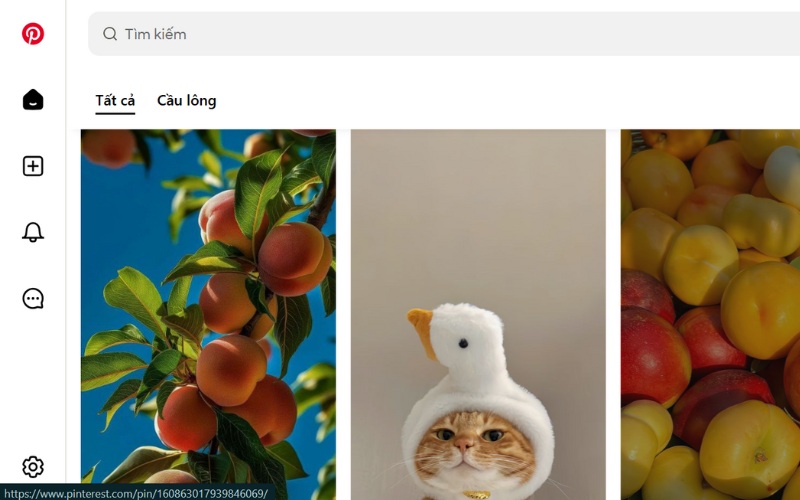 Pinterest là gì