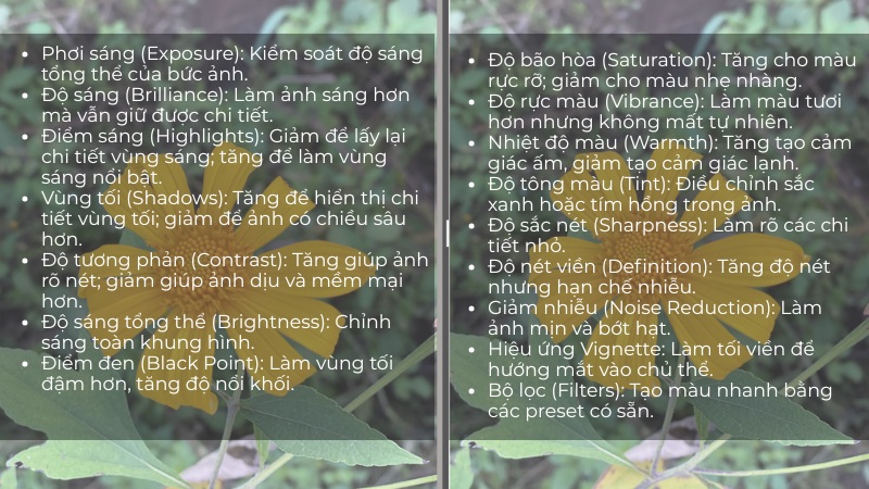 Những thông số trong công thức chỉnh màu ảnh trên iPhone