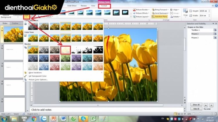 cách chèn ảnh vào powerpoint làm nền