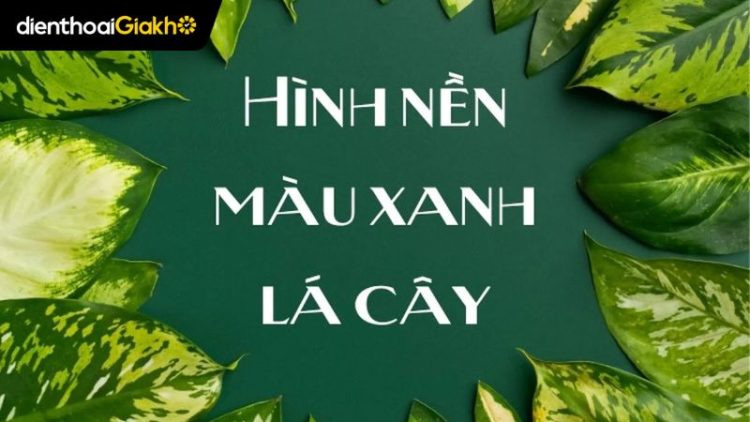 Hình nền xanh lá cây