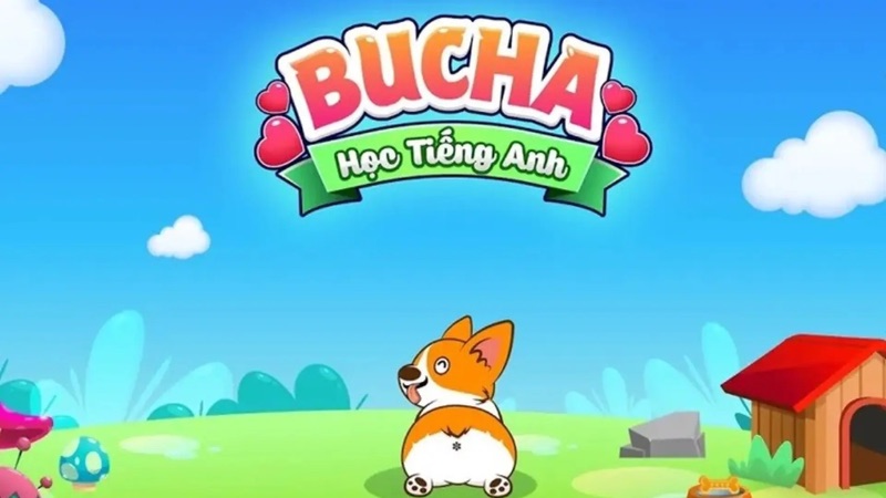 Bucha
