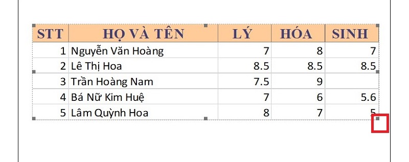 cach-chuyen-du-lieu-tu-excel-sang-word