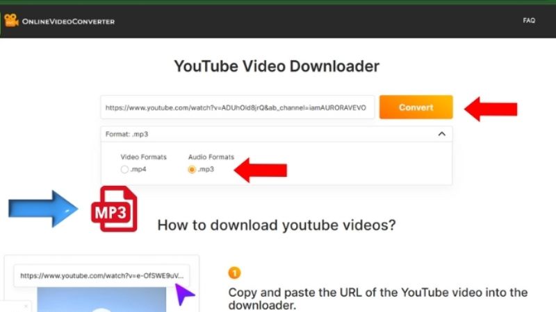 En2.onlinevideoconverter.pro