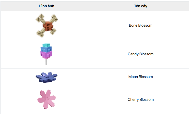 Cây họ Candy