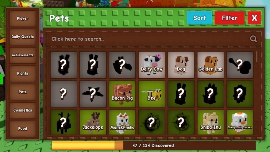 Pets – Thú cưng
