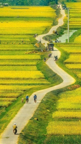 hình nền phong cảnh làng quê số 1