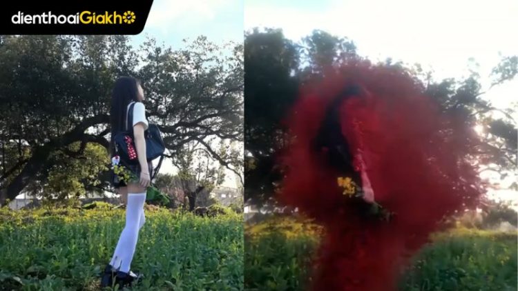 trend tan biến cánh hoa solai