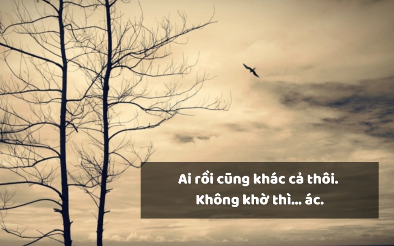 Cap ngắn gọn nhưng ngầu, không vòng vo dài dòng