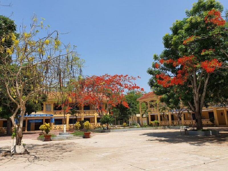 hinh-nen-anh-hoa-phuong