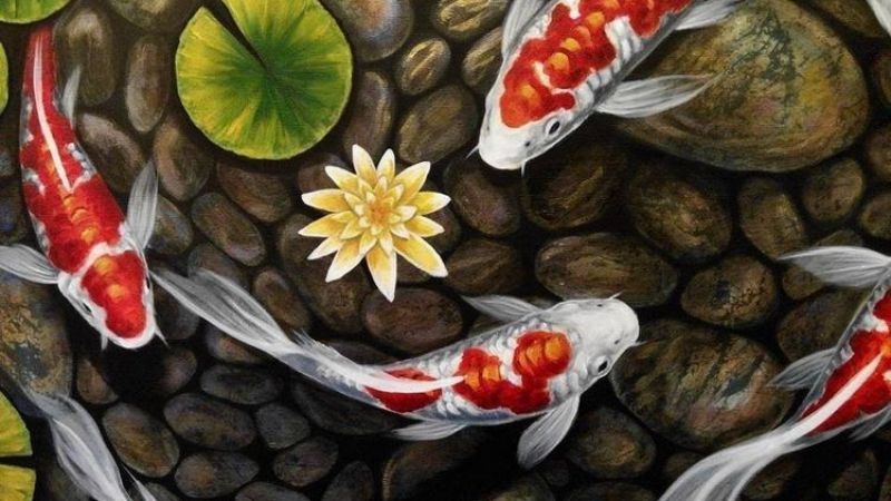 hình nền cá chép hoa sen