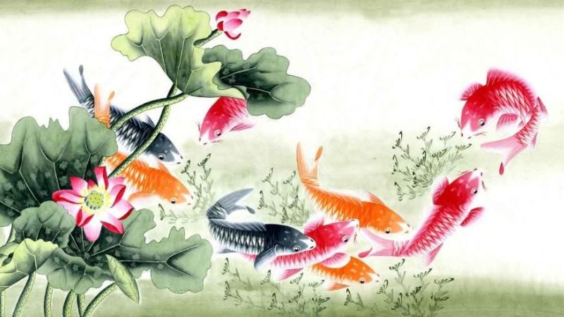 hình nền cá chép hoa sen