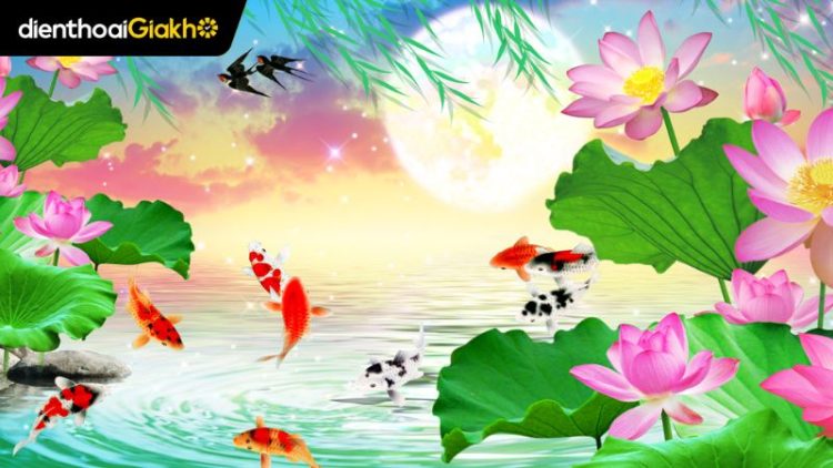 hinh-nen-ca-chep-hoa-sen