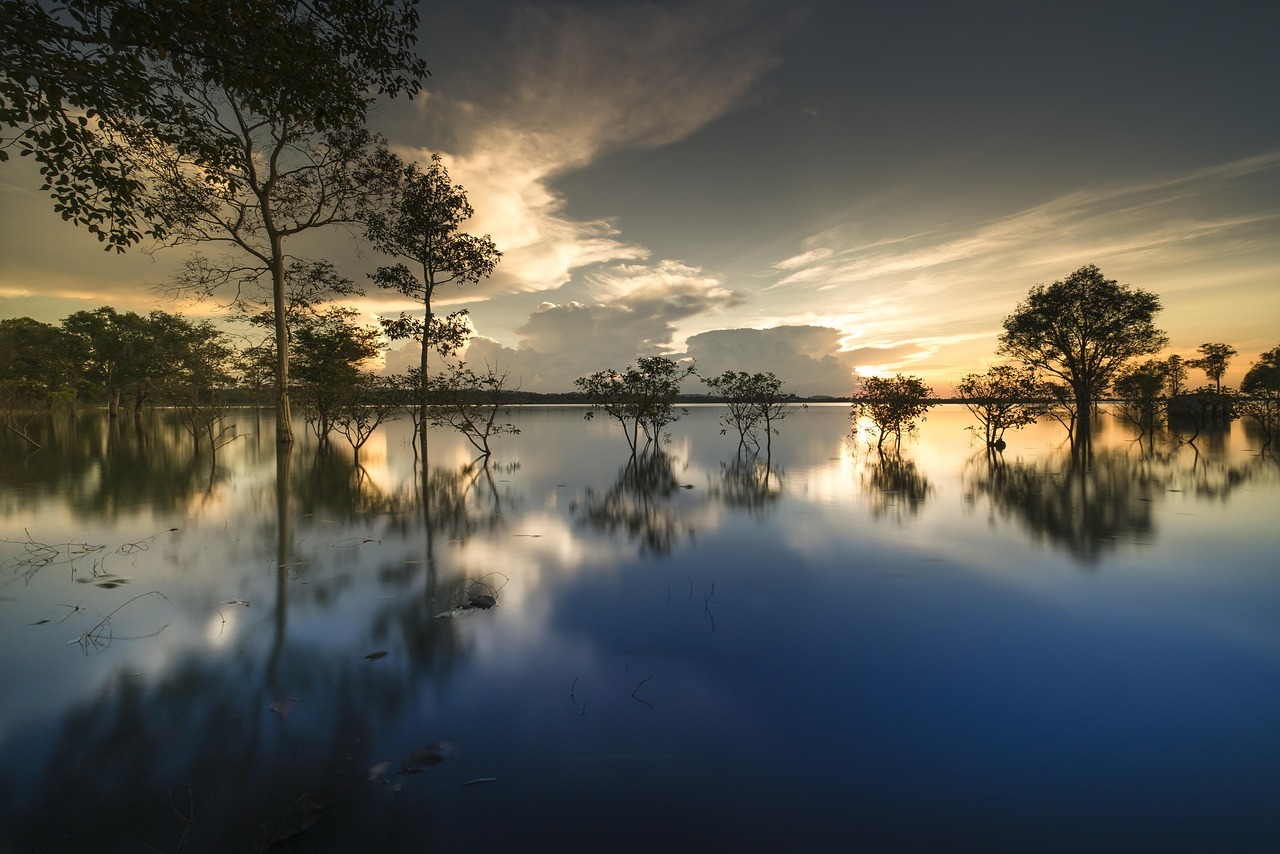 stt-binh-yen