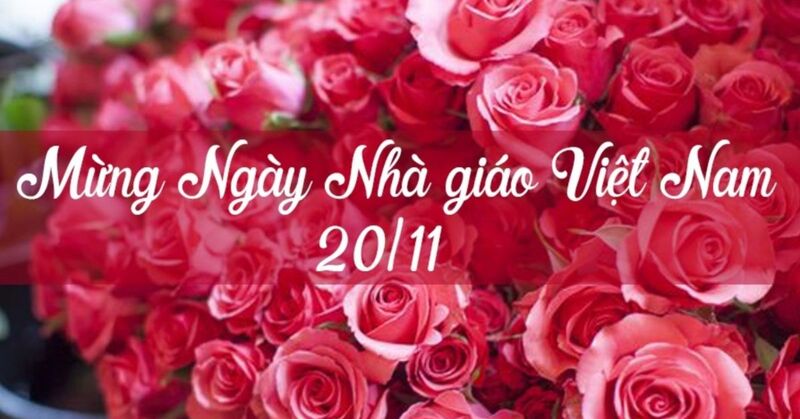Hình ảnh 20/11 đẹp nhất chúc mừng Ngày Nhà giáo Việt Nam