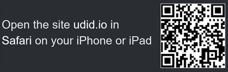 Bước 1: Mở Safari và truy cập trang web: