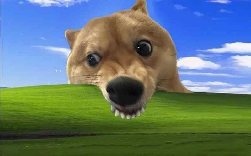 Hình nền 3D động vật để máy tính