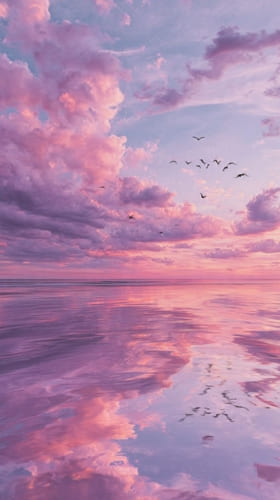 Hình nền bầu trời và đàn chim