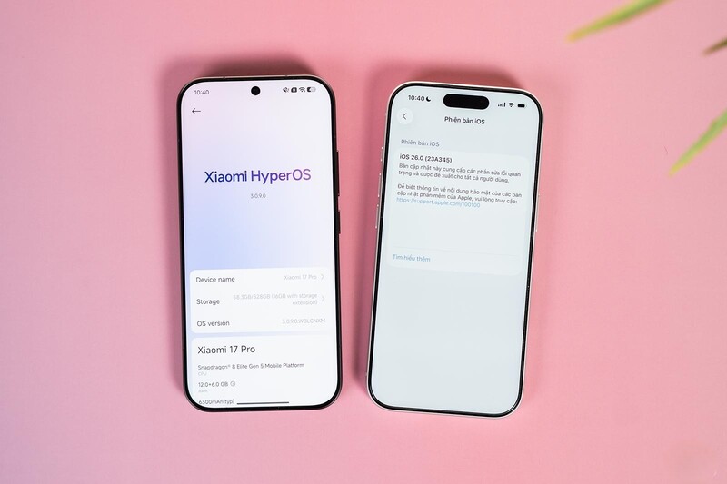 Kết nối, độ bền & hệ sinh thái