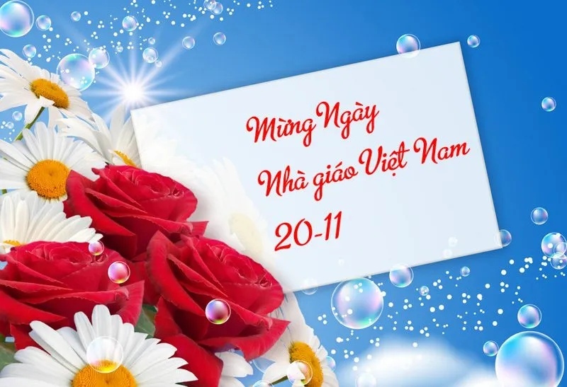 Background 20/11 đơn giản, trang trọng