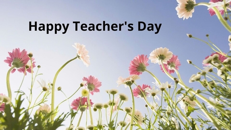 Background 20/11 chủ đề hoa cỏ, thiên nhiên