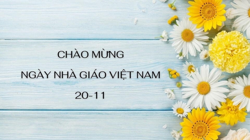 Background 20/11 hoa cỏ, thiên nhiên