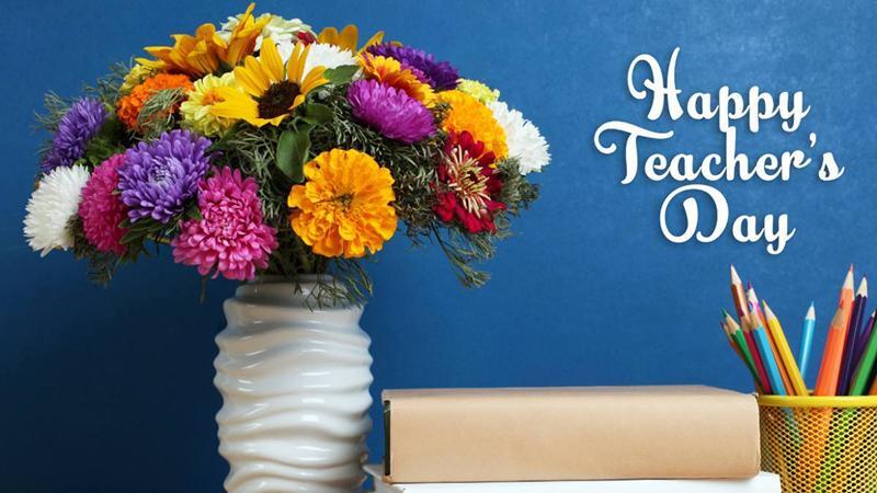 Background 20/11 hoa cỏ, thiên nhiên