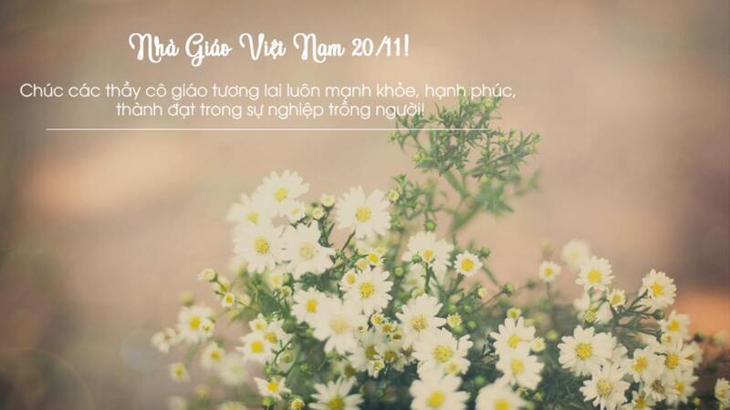 Background 20/11 có trích dẫn hay, ý nghĩa