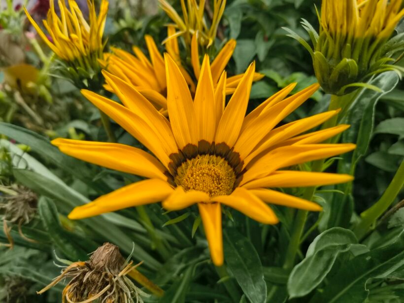 danh-gia-motorola-g85-power