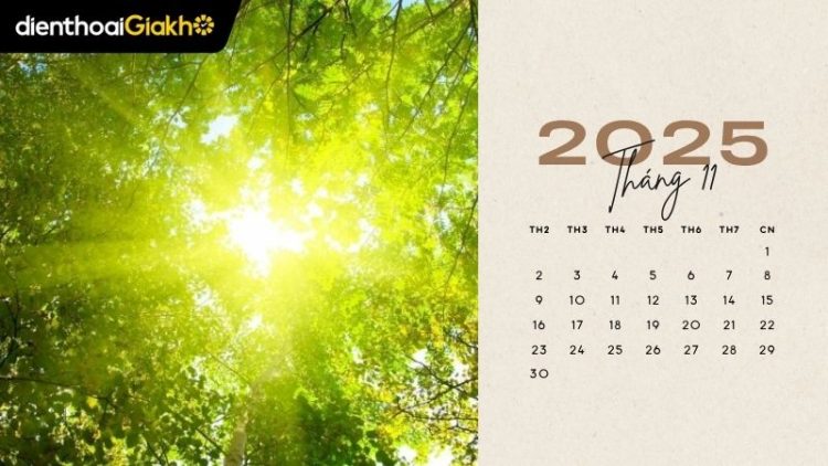 Ngày đẹp tháng 11