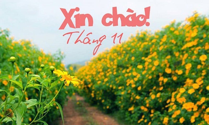 ngay-dep-thang-11