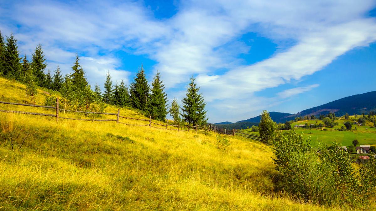 hình nền núi đồi