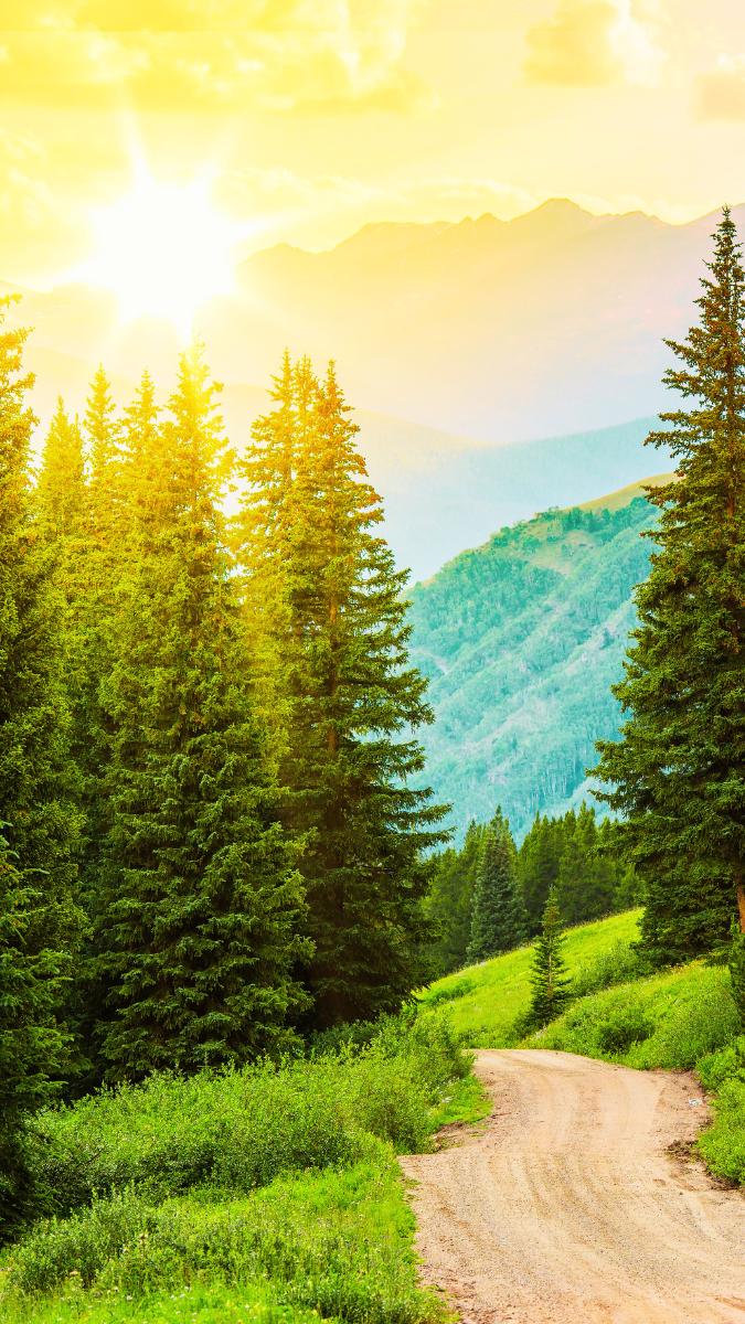 hình nền núi đồi