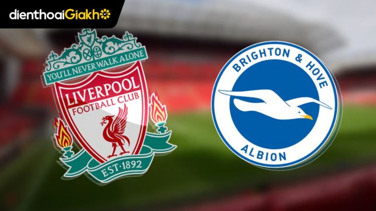 đội hình liverpool vs brighton
