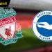 đội hình liverpool vs brighton