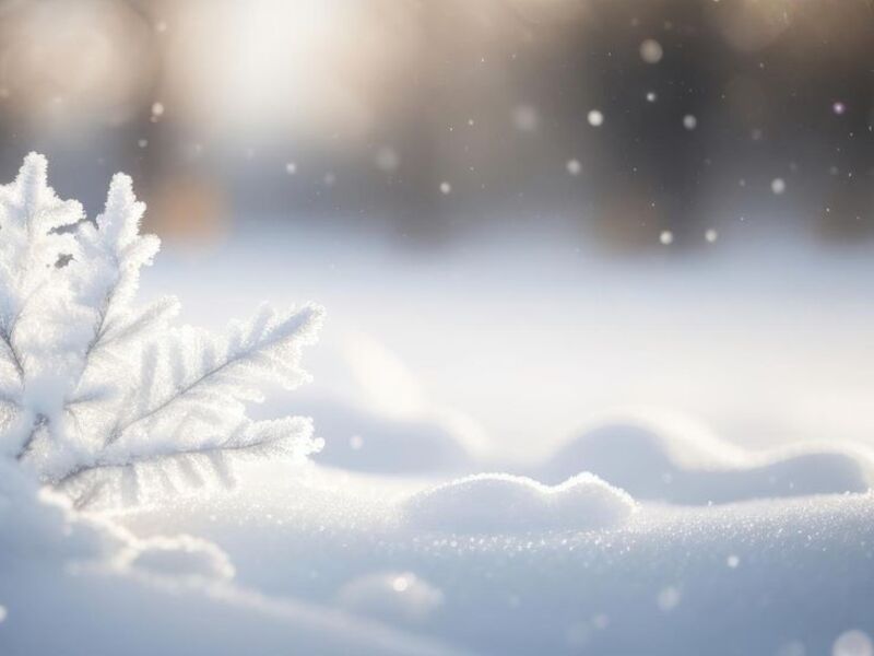 Hình nền bông tuyết