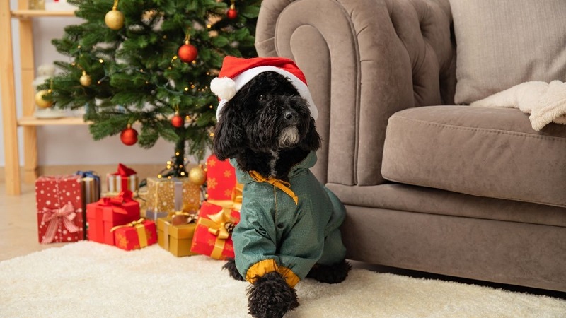 hình nền Giáng Sinh cute