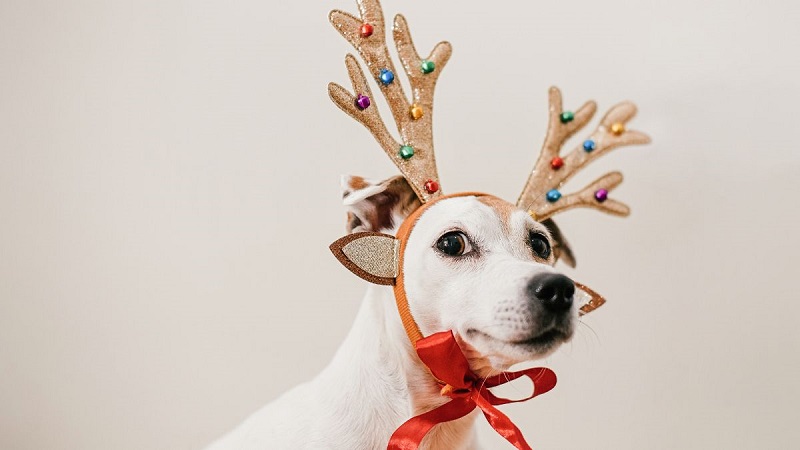 hình nền Giáng Sinh cute